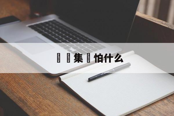 詐騙集團怕什么(怎么查一个公司是不是诈骗公司)